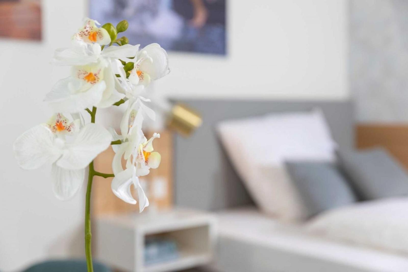 Nino Boardinghouse Auszeit - Nordhorn Apartment Екстериор снимка